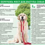Обновлён список мест для выгула собак