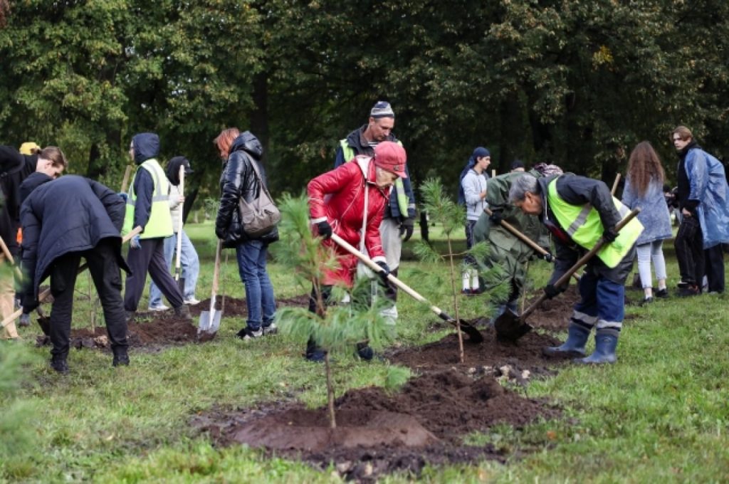 Фото 244 — В столице началась акция по посадке деревьев
