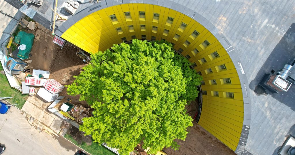 Фото 16 — В Москве началась строительство новой школы