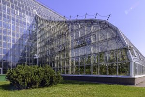 В Москве открылся новый ботанический сад