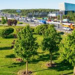 Москва запустила программу по озеленению города